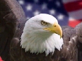 America